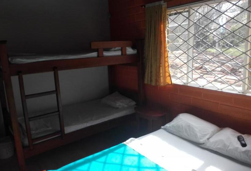Spring City Hostel | Medellín | Antioquia | Colombia 8