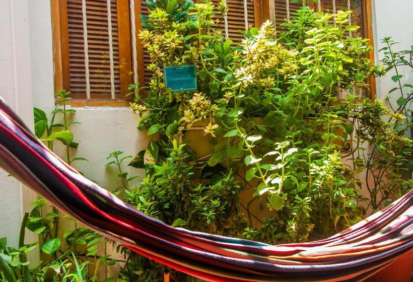Pachamama Hostel Cartagena | Cartagena de Indias | Bolivar | Colombia 1