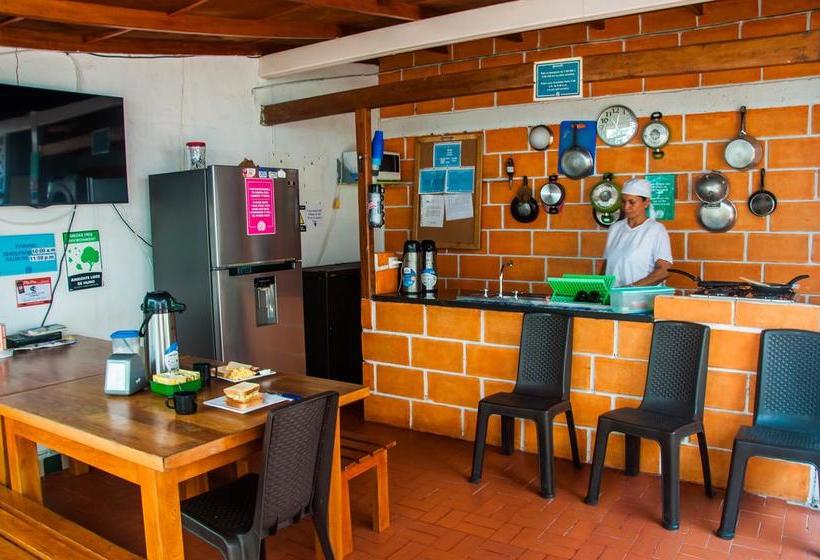 Pachamama Hostel Cartagena | Cartagena de Indias | Bolivar | Colombia 3