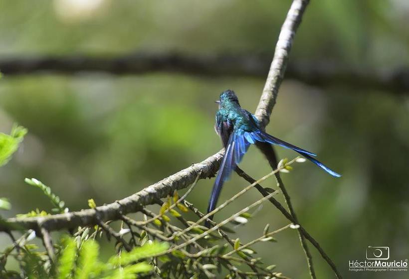 Hotel Reserva El Cairo  Valle De Cocora | Salento | Quindío | Colombia 11