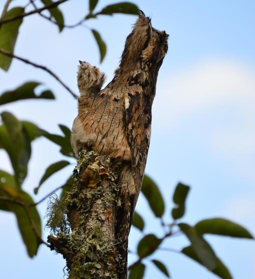 Hotel Reserva El Cairo  Valle De Cocora | Salento | Quindío | Colombia 13
