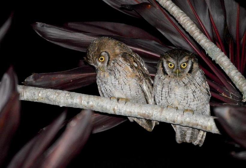 Hotel Reserva El Cairo  Valle De Cocora | Salento | Quindío | Colombia 15