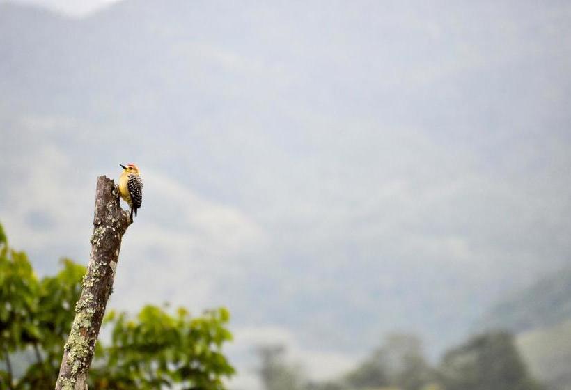 Hotel Reserva El Cairo  Valle De Cocora | Salento | Quindío | Colombia 18