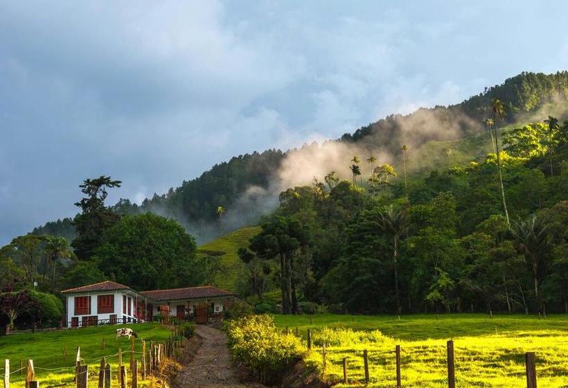 Hotel Reserva El Cairo  Valle De Cocora | Salento | Quindío | Colombia 5
