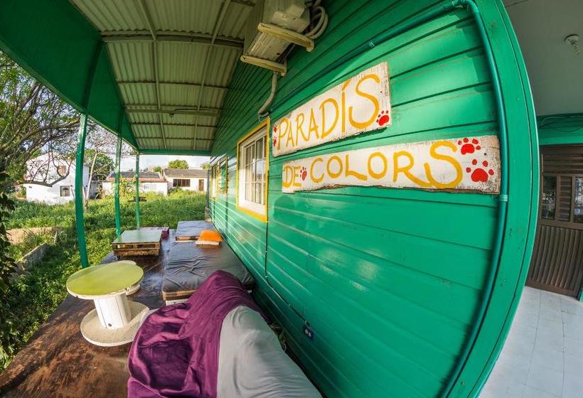Bed and Breakfast Cabaña Paradís De Colors | San Andrés | San Andres y Providencia | Colombia 12