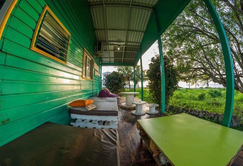 Bed and Breakfast Cabaña Paradís De Colors | San Andrés | San Andres y Providencia | Colombia 13