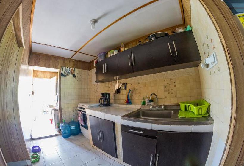 Bed and Breakfast Cabaña Paradís De Colors | San Andrés | San Andres y Providencia | Colombia 20