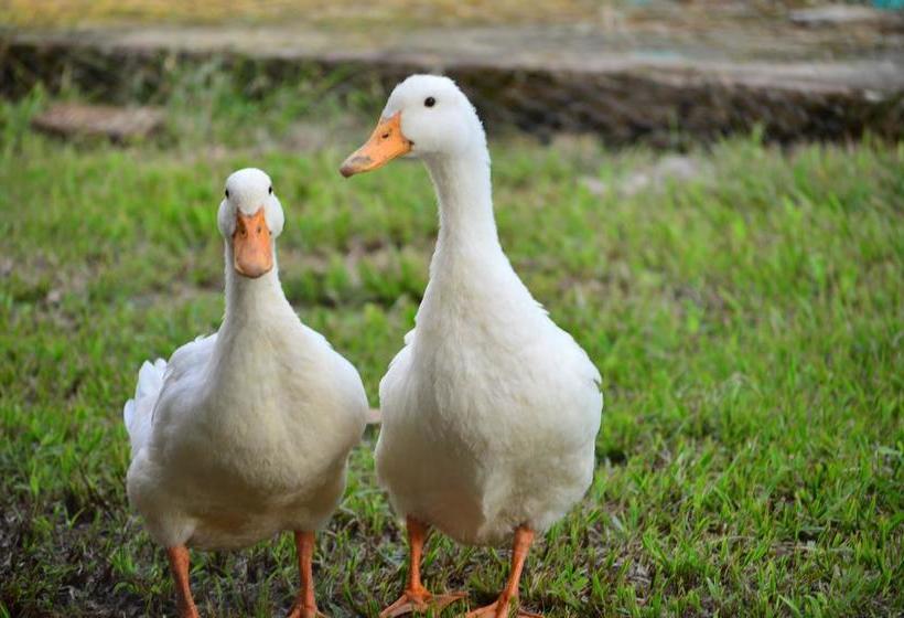 Hotel Torre Del Sol | Villavicencio | Meta | Colombia 17