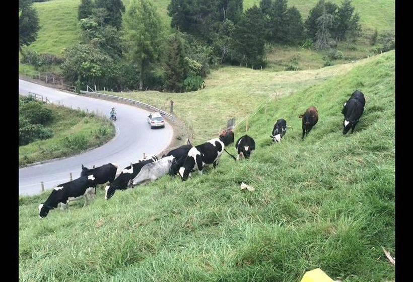 Hotel Bariloche | Santa Rosa de Cabal | Risaralda | Colombia 6