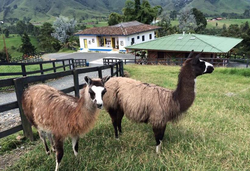 Hotel Bariloche | Santa Rosa de Cabal | Risaralda | Colombia 7