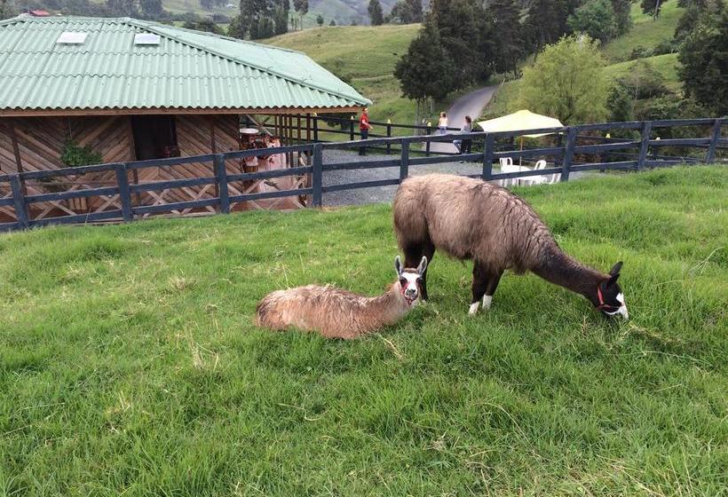 Hotel Bariloche | Santa Rosa de Cabal | Risaralda | Colombia 8