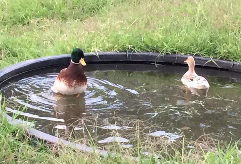 Hotel Bariloche | Santa Rosa de Cabal | Risaralda | Colombia 9