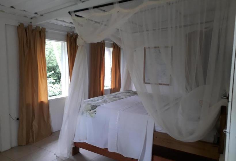 Bed and Breakfast Yellow Home Casabaja | Providencia | San Andres y Providencia | Colombia 1