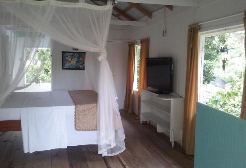 Bed and Breakfast Yellow Home Casabaja | Providencia | San Andres y Providencia | Colombia 13