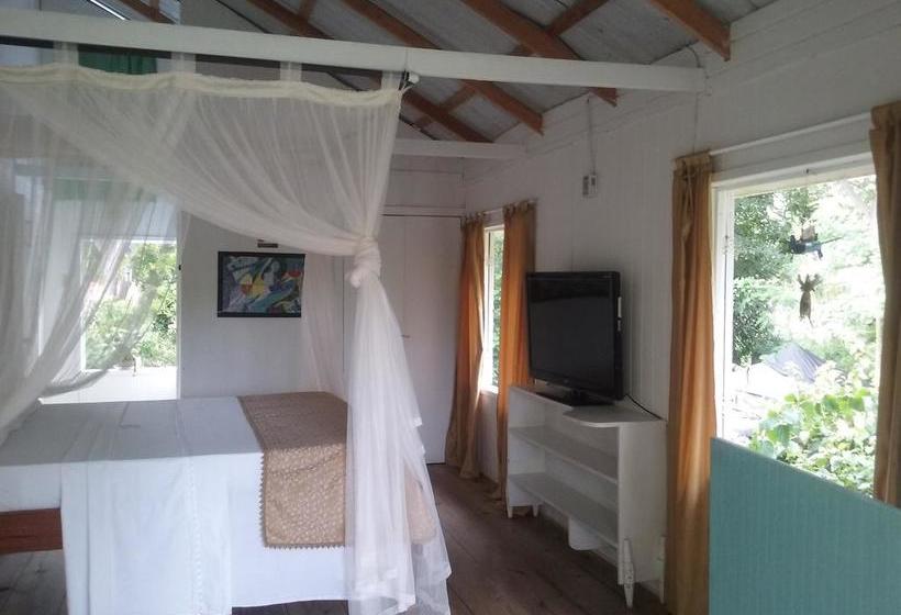 Bed and Breakfast Yellow Home Casabaja | Providencia | San Andres y Providencia | Colombia 14