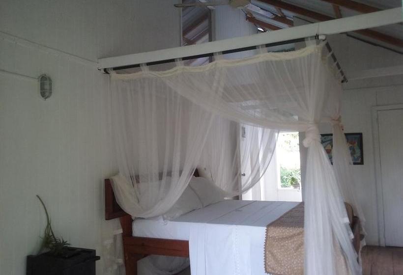 Bed and Breakfast Yellow Home Casabaja | Providencia | San Andres y Providencia | Colombia 15