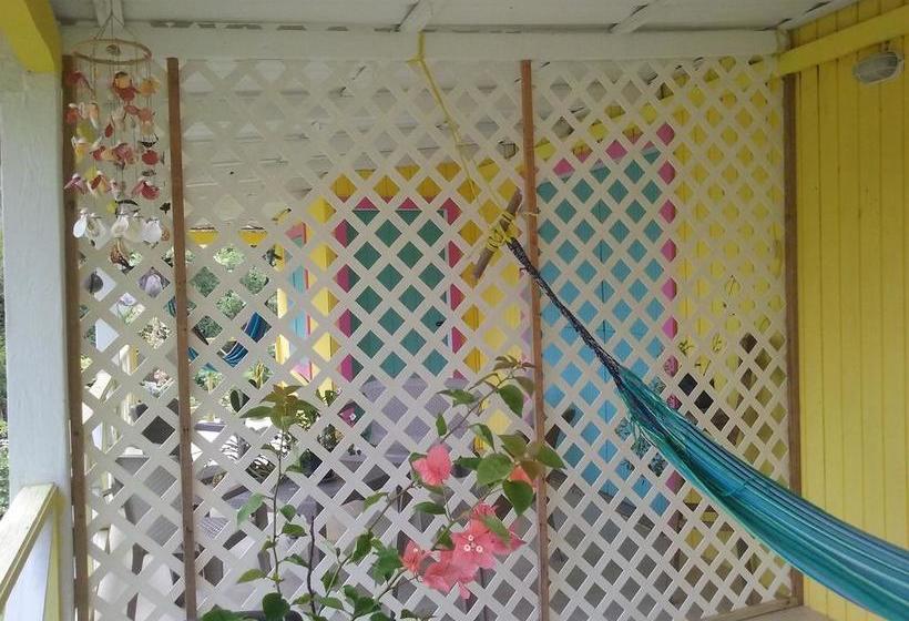 Bed and Breakfast Yellow Home Casabaja | Providencia | San Andres y Providencia | Colombia 16