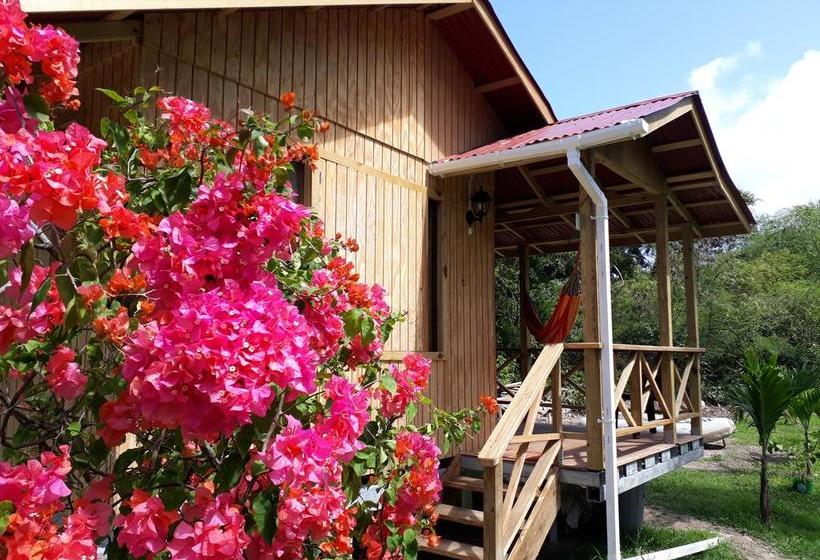 Bed and Breakfast Yellow Home Casabaja | Providencia | San Andres y Providencia | Colombia 18