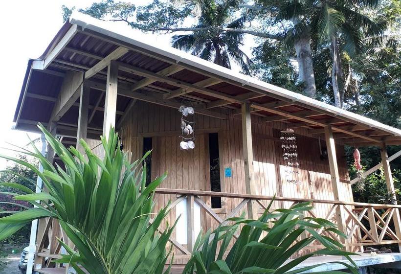 Bed and Breakfast Yellow Home Casabaja | Providencia | San Andres y Providencia | Colombia 19