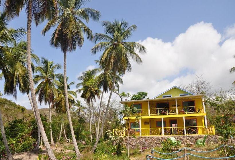 Bed and Breakfast Yellow Home Casabaja | Providencia | San Andres y Providencia | Colombia 2