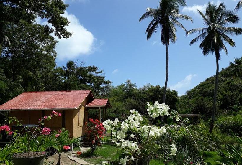Bed and Breakfast Yellow Home Casabaja | Providencia | San Andres y Providencia | Colombia 4