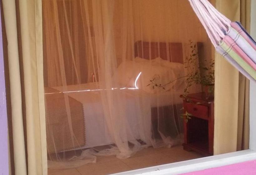 Bed and Breakfast Yellow Home Casabaja | Providencia | San Andres y Providencia | Colombia 5