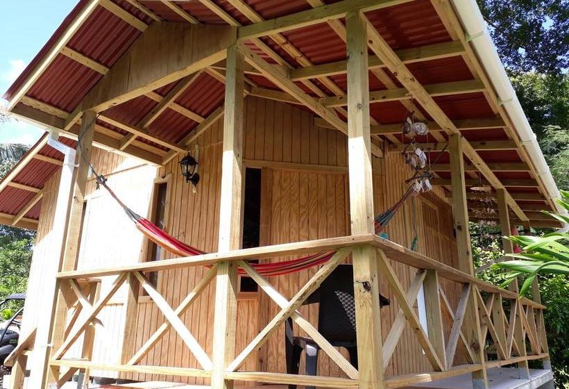 Bed and Breakfast Yellow Home Casabaja | Providencia | San Andres y Providencia | Colombia 6