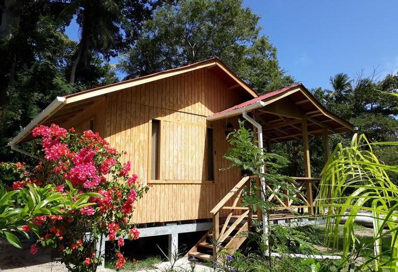 Bed and Breakfast Yellow Home Casabaja | Providencia | San Andres y Providencia | Colombia 7