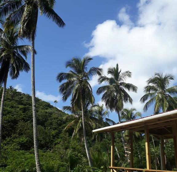 Bed and Breakfast Yellow Home Casabaja | Providencia | San Andres y Providencia | Colombia 8