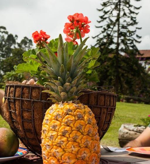 Matisses Hotel Campestre | Santa Rosa de Cabal | Risaralda | Colombia 1