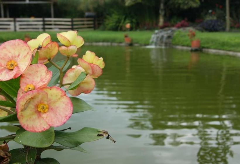 Matisses Hotel Campestre | Santa Rosa de Cabal | Risaralda | Colombia 11