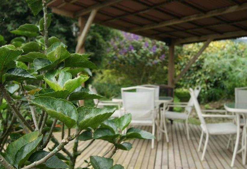 Matisses Hotel Campestre | Santa Rosa de Cabal | Risaralda | Colombia 13