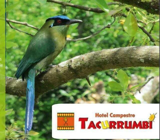 Hotel Campestre Tacurrumbi Montenegro Quindío