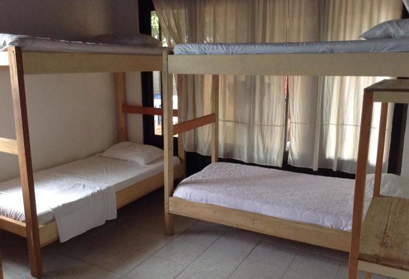 Albergue Leticias Guest House | Leticia | Amazonas | Colombia 6