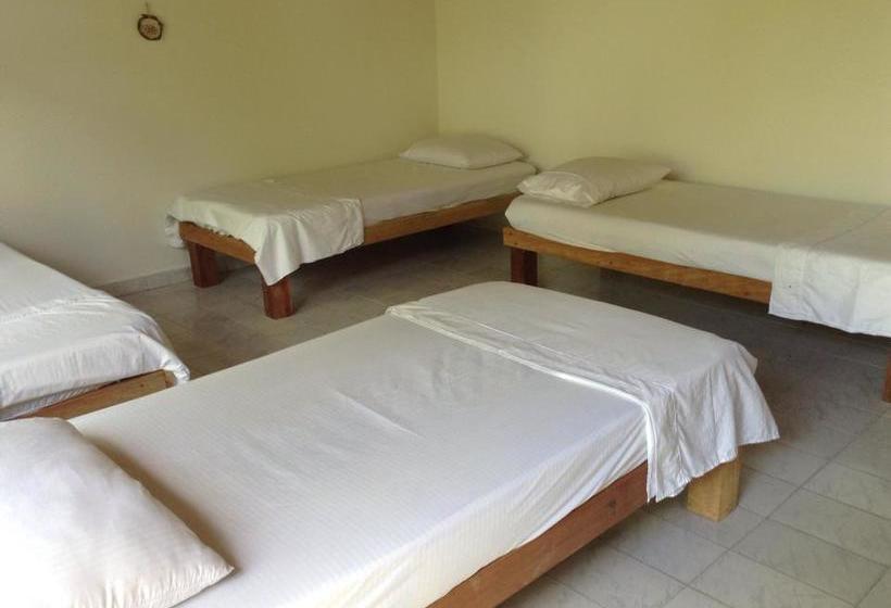 Albergue Leticias Guest House | Leticia | Amazonas | Colombia 7