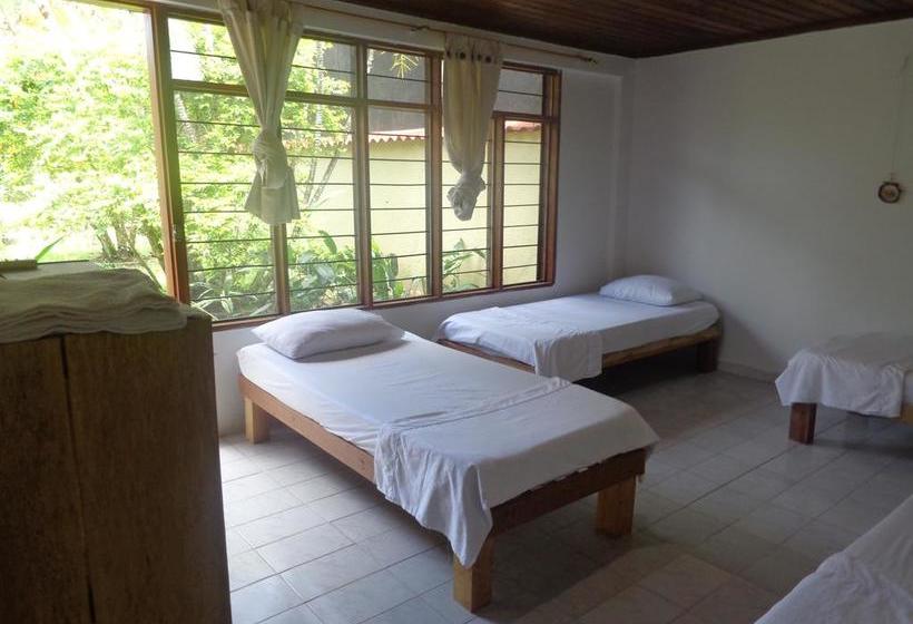 Albergue Leticias Guest House | Leticia | Amazonas | Colombia 8