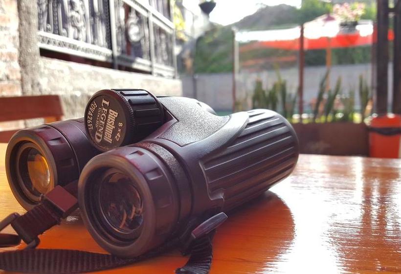 Hotel Beta | Salento | Quindío | Colombia 14