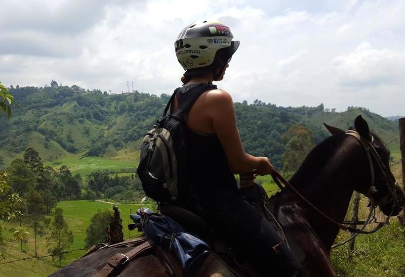 Hotel Beta | Salento | Quindío | Colombia 8