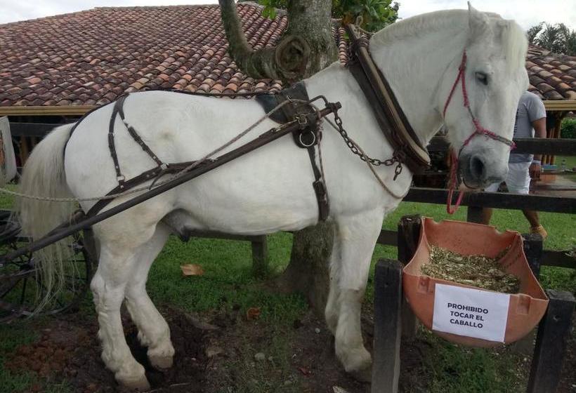 Hotel Parque De Los Arrieros | Montenegro | Quindío | Colombia 3