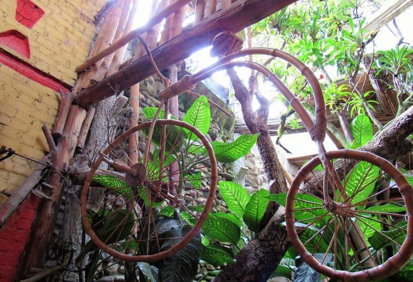 Hotel Casa Tarzan | San Agustin | Huila | Colombia 12