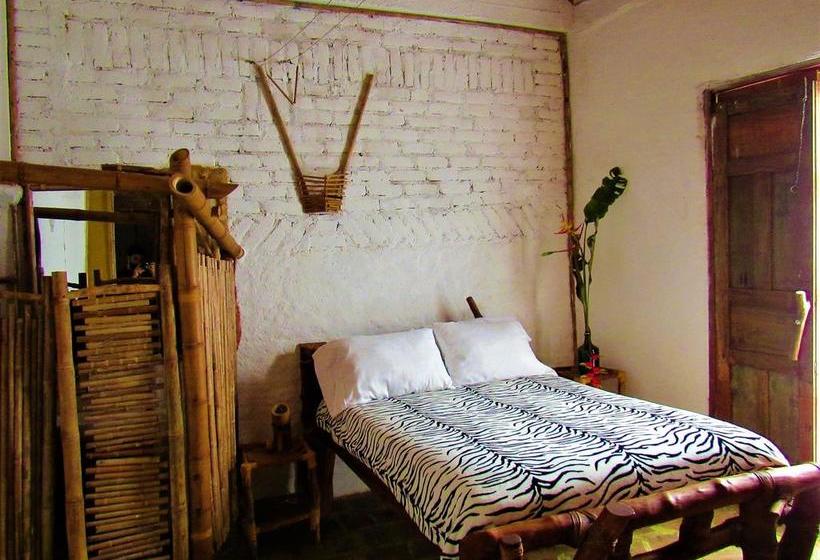 Hotel Casa Tarzan | San Agustin | Huila | Colombia 13