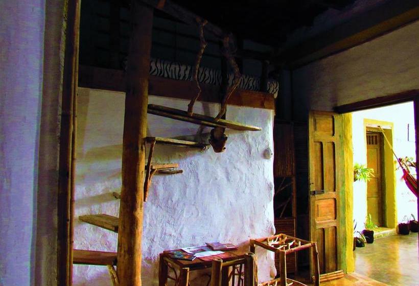 Hotel Casa Tarzan | San Agustin | Huila | Colombia 18