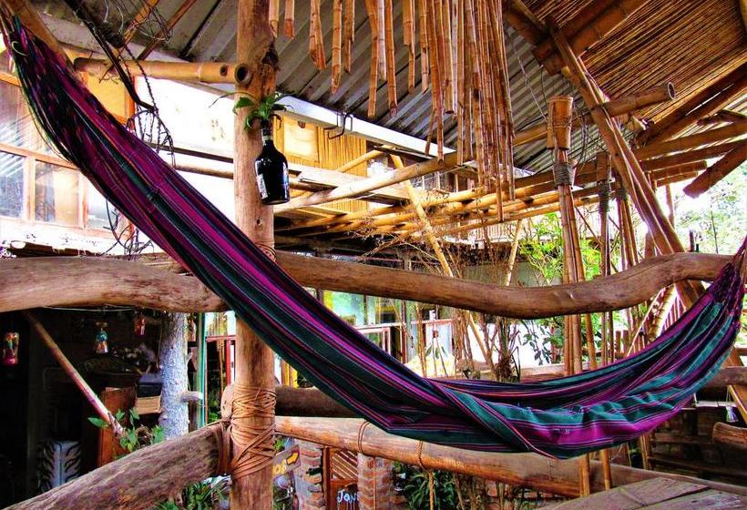 Hotel Casa Tarzan | San Agustin | Huila | Colombia 20