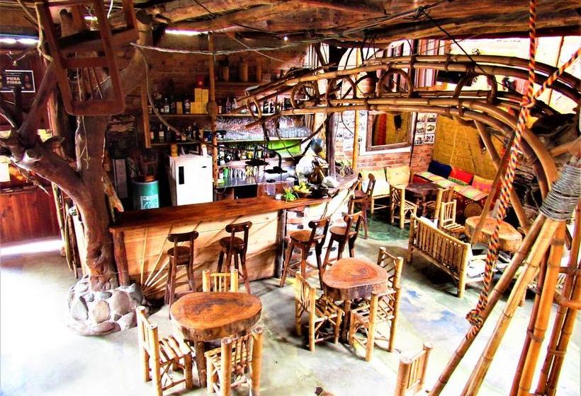 Hotel Casa Tarzan | San Agustin | Huila | Colombia 3