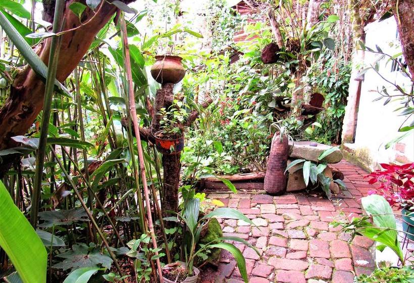 Hotel Casa Tarzan | San Agustin | Huila | Colombia 6