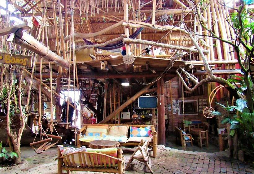 Hotel Casa Tarzan | San Agustin | Huila | Colombia 8