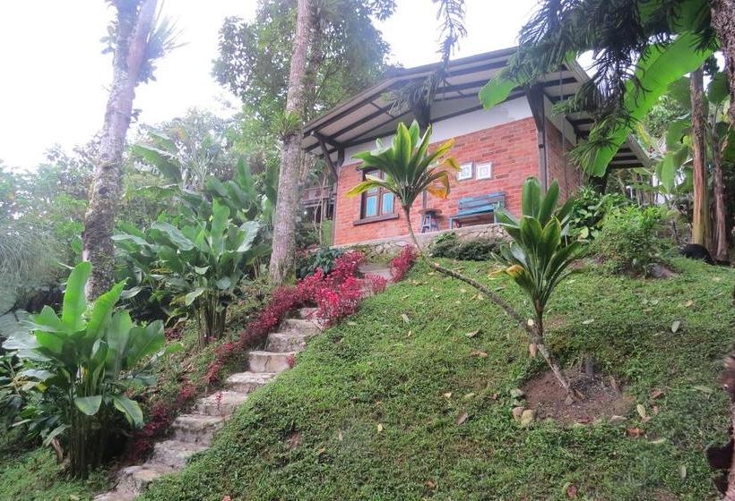 Hotel Y Restaurante Visperas | Santa Rosa de Cabal | Risaralda | Colombia 14