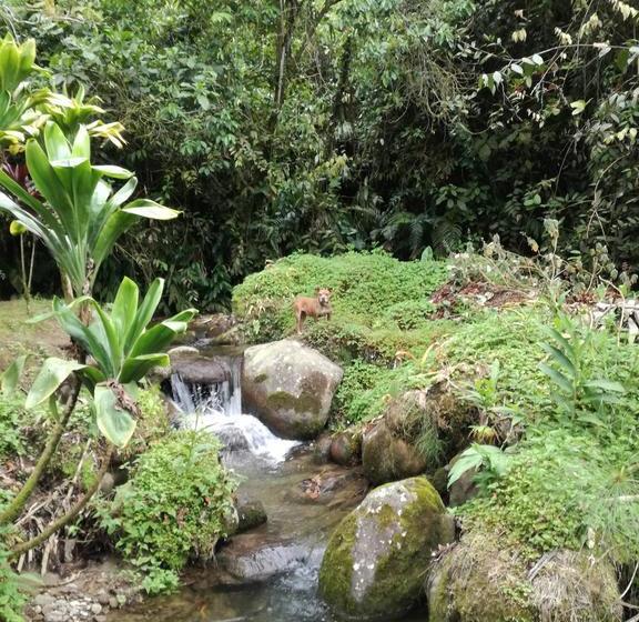 Hotel Y Restaurante Visperas | Santa Rosa de Cabal | Risaralda | Colombia 7