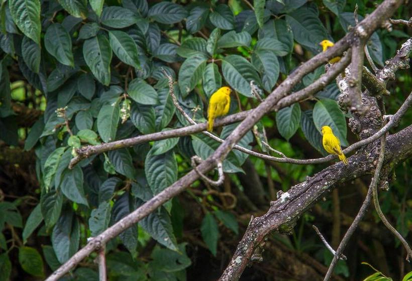 Hotel Eclipse | Villavicencio | Meta | Colombia 14