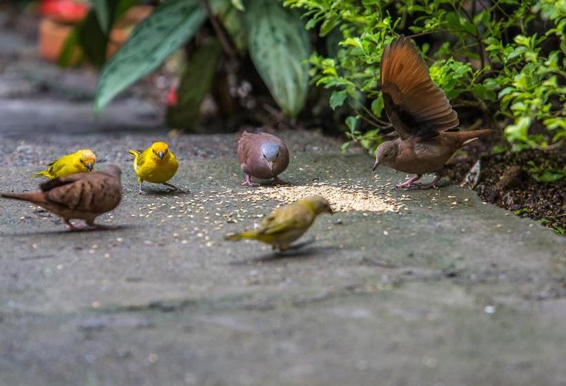 Hotel Eclipse | Villavicencio | Meta | Colombia 19
